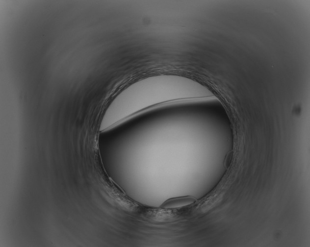 X0000091720384200708241026