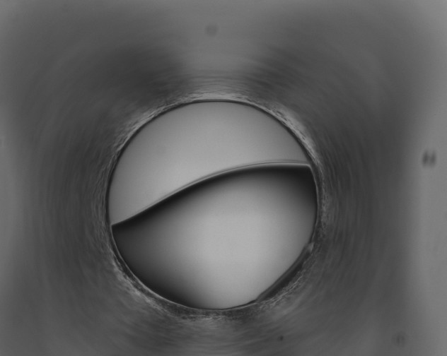 X0000091720385200708241025