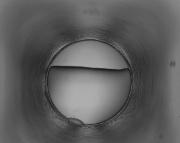 X0000091720386200708241025