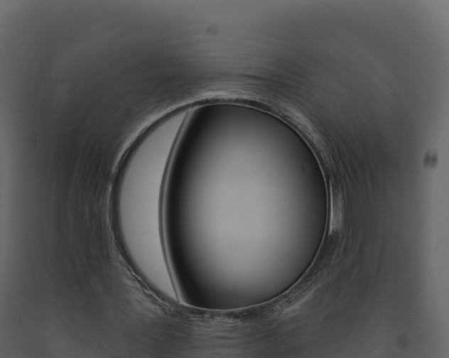 X0000091720387200708241025