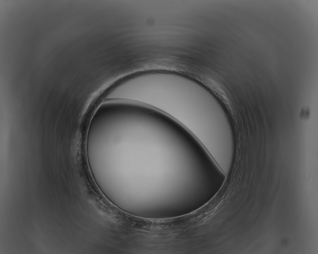 X0000091720388200708241025