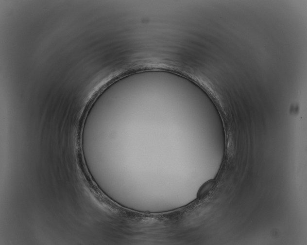 X0000091720390200708241025