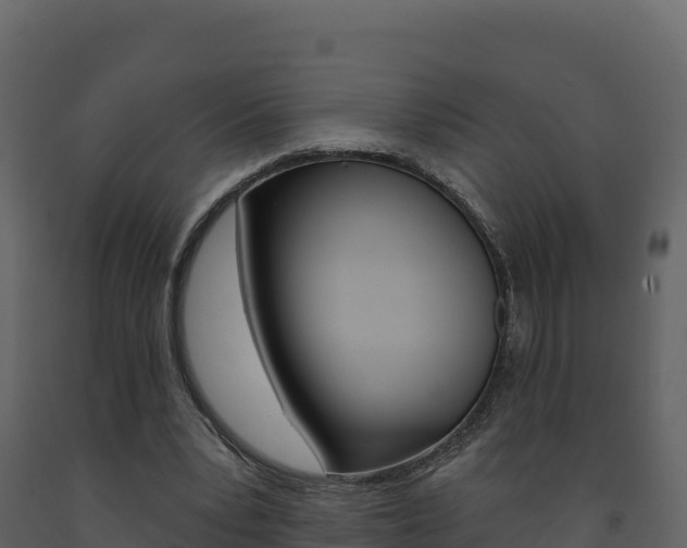 X0000091720391200708241025