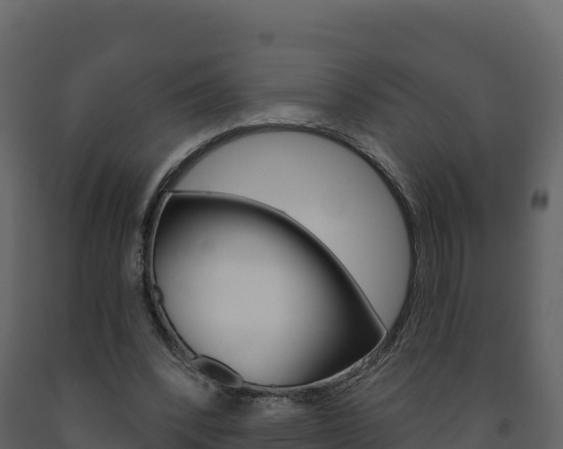X0000091720392200708241025