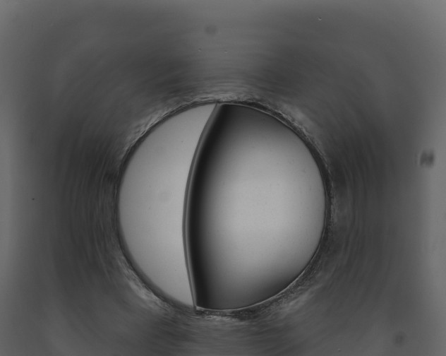 X0000091720393200708241025