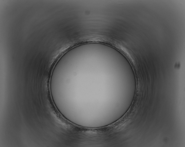 X0000091720394200708241025