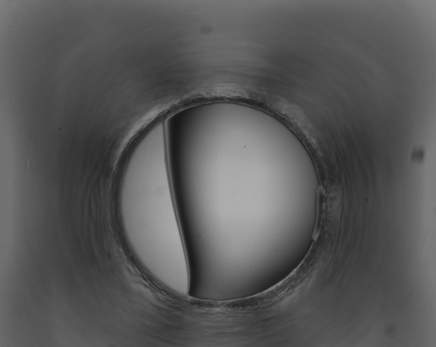 X0000091720395200708241025