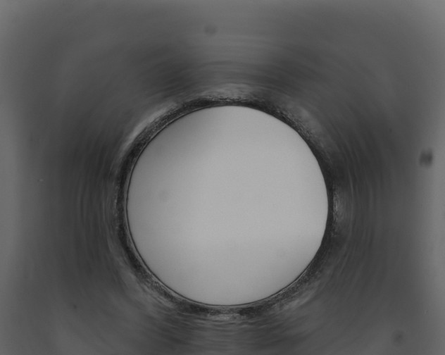 X0000091720396200708241025