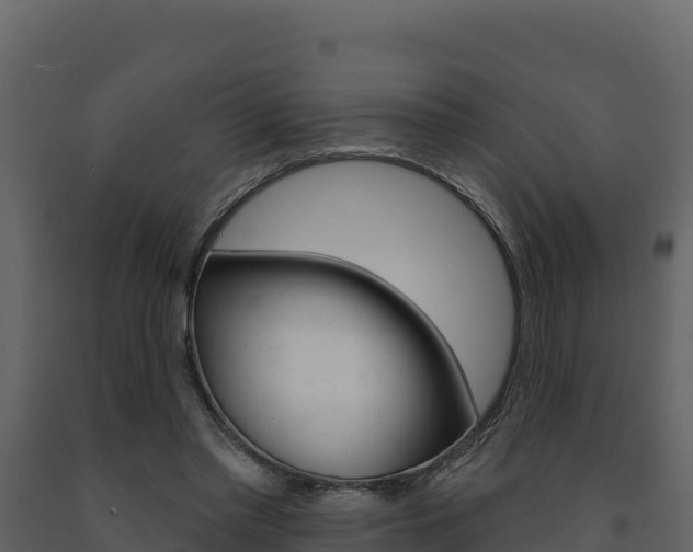 X0000091720397200708241025