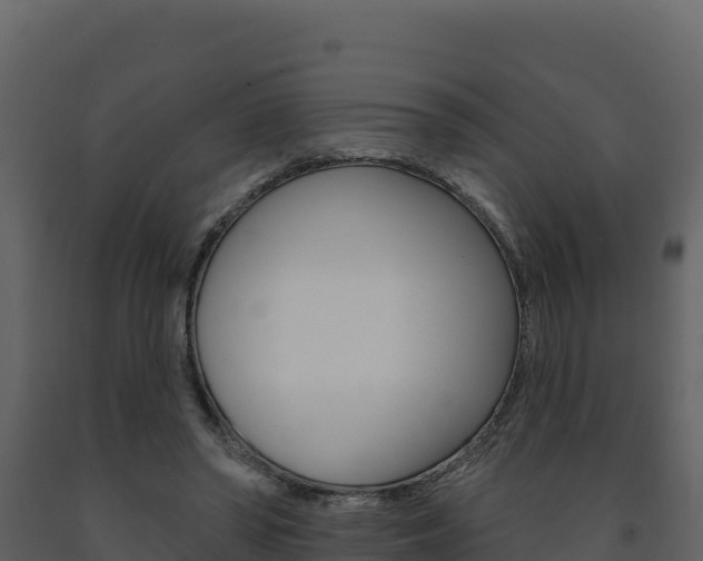 X0000091720398200708241025