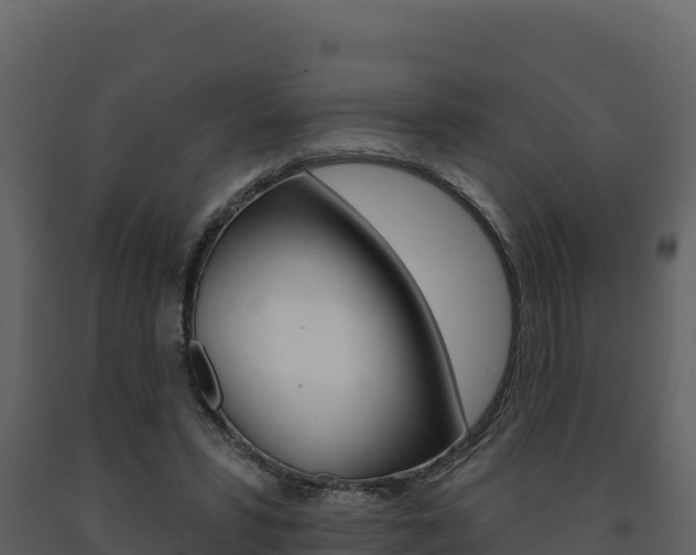 X0000091720399200708241025