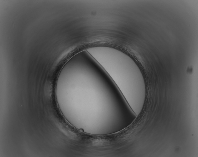 X0000091720400200708241025