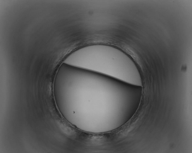 X0000091720401200708241025