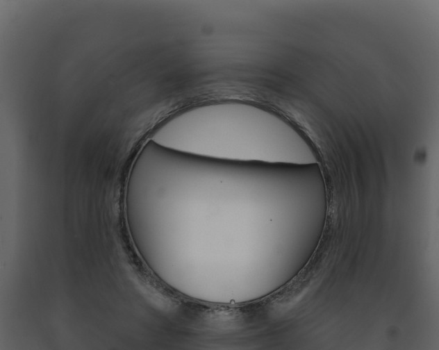 X0000091720402200708241025