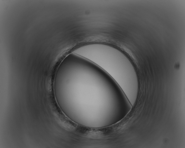 X0000091720403200708241025