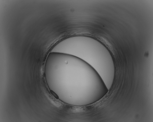 X0000091720405200708241025