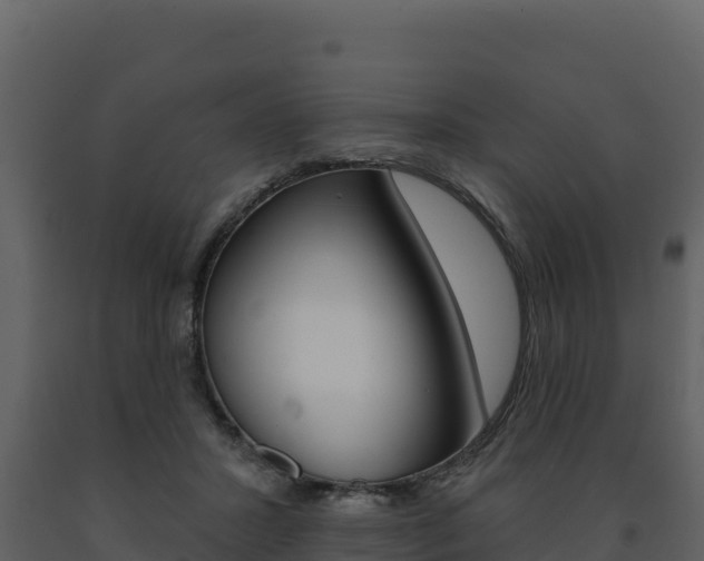 X0000091720407200708241025