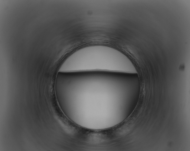 X0000091720408200708241025
