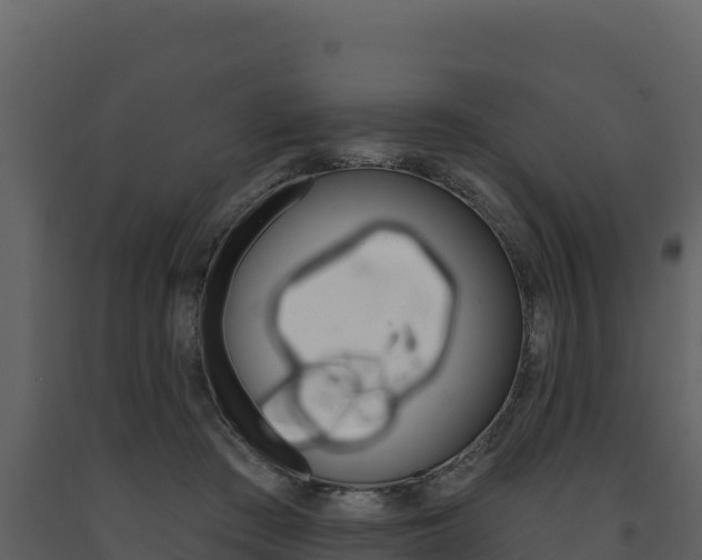 X0000091720409200708241025