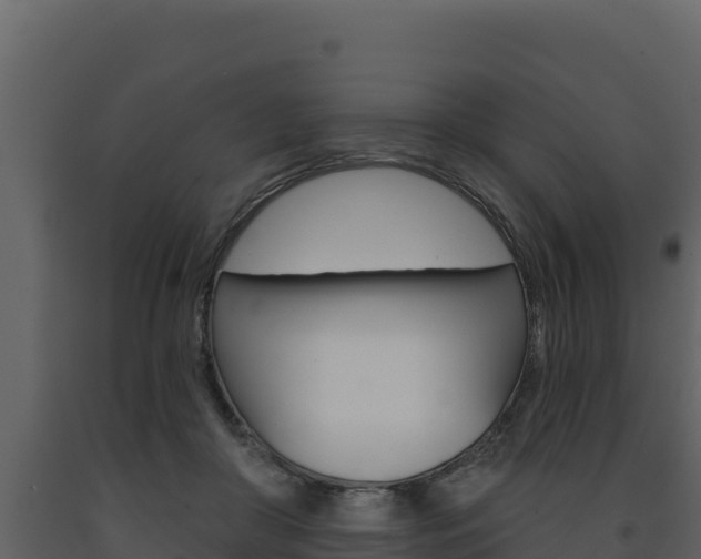 X0000091720410200708241025