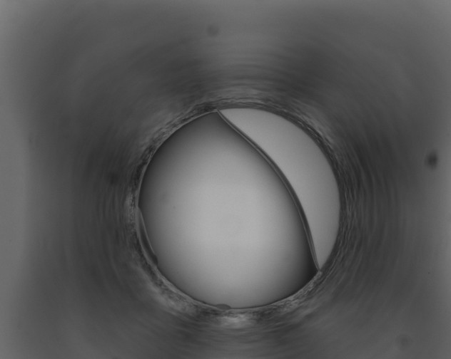 X0000091720411200708241025