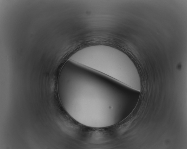 X0000091720412200708241025