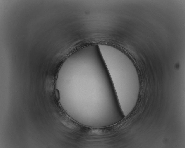 X0000091720413200708241025