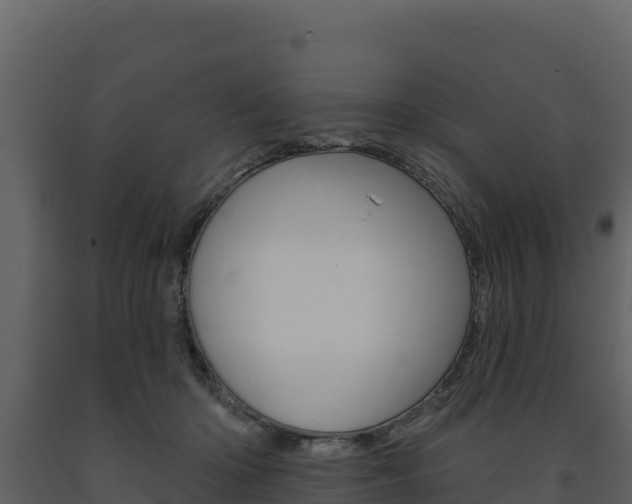 X0000091720414200708241025