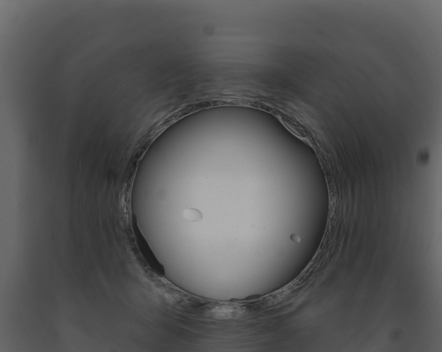 X0000091720415200708241025