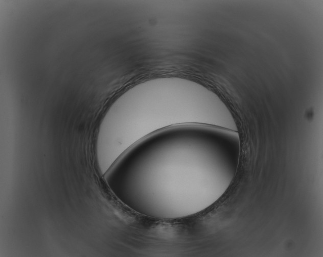 X0000091720416200708241024