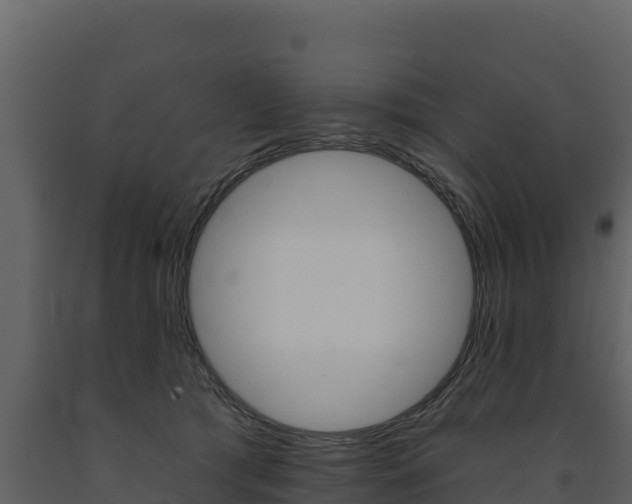 X0000091720417200708241024