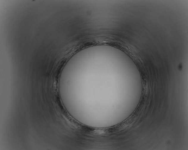 X0000091720418200708241024
