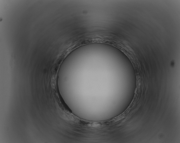 X0000091720419200708241024