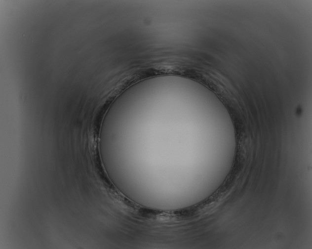 X0000091720420200708241024