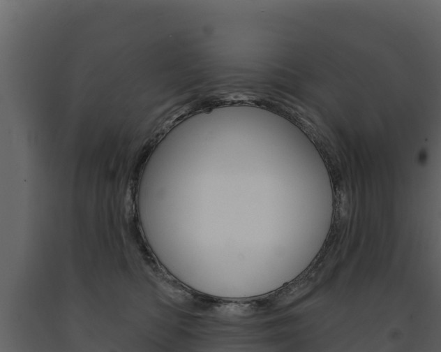 X0000091720422200708241024