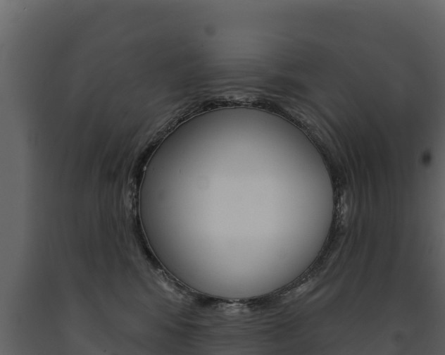 X0000091720424200708241024