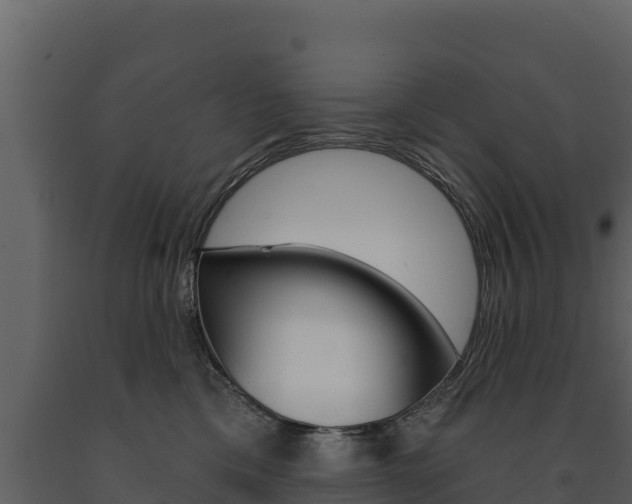 X0000091720425200708241024