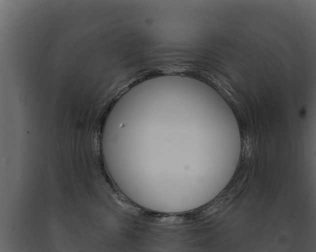 X0000091720426200708241024