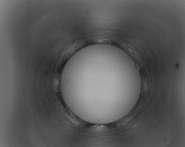 X0000091720427200708241024