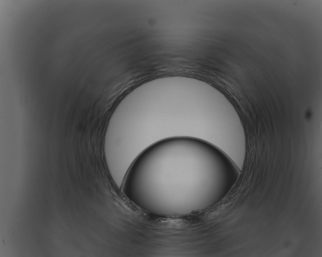 X0000091720428200708241024