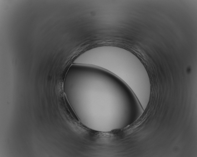 X0000091720429200708241024