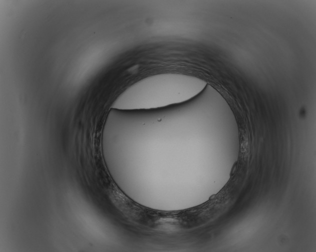 X0000091720430200708241024