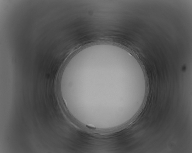 X0000091720431200708241024