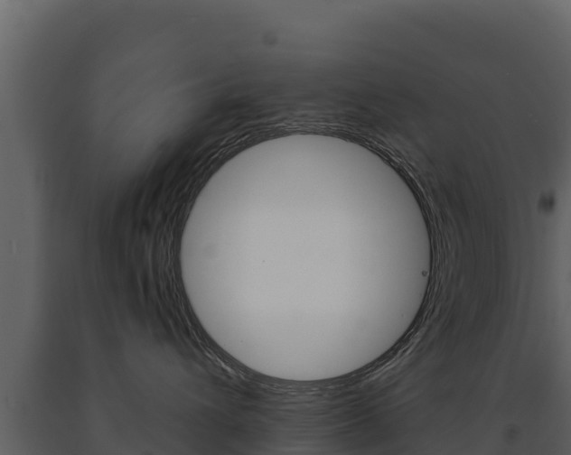 X0000091720432200708241024