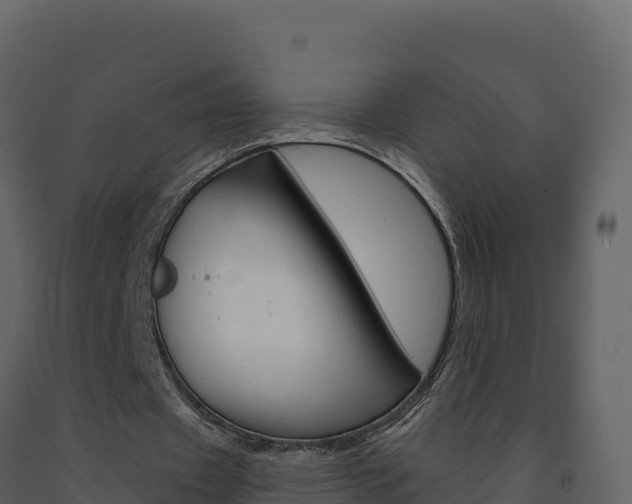 X0000091720433200708241024