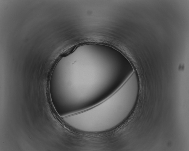 X0000091720434200708241024