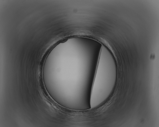 X0000091720435200708241024