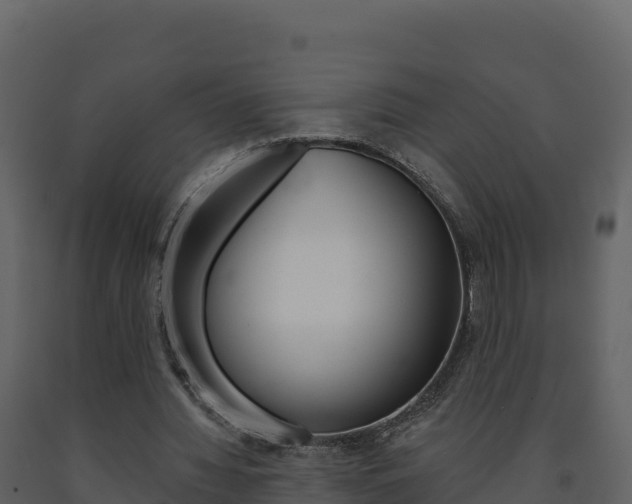 X0000091720436200708241024