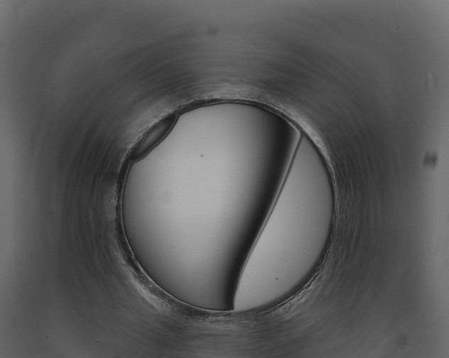 X0000091720437200708241024