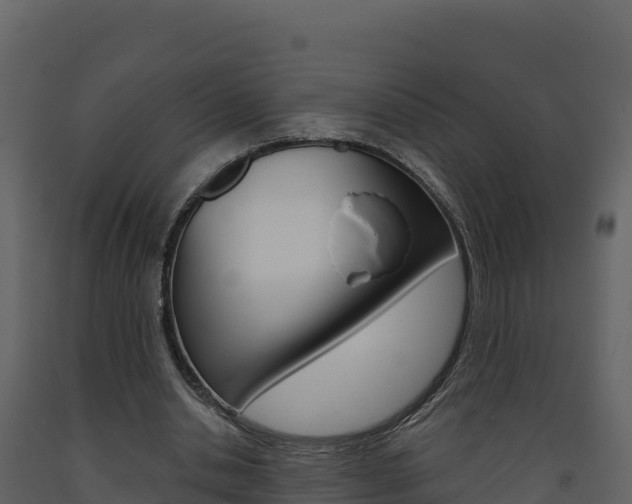 X0000091720438200708241024